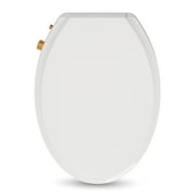 Non-electric Bidet Seat