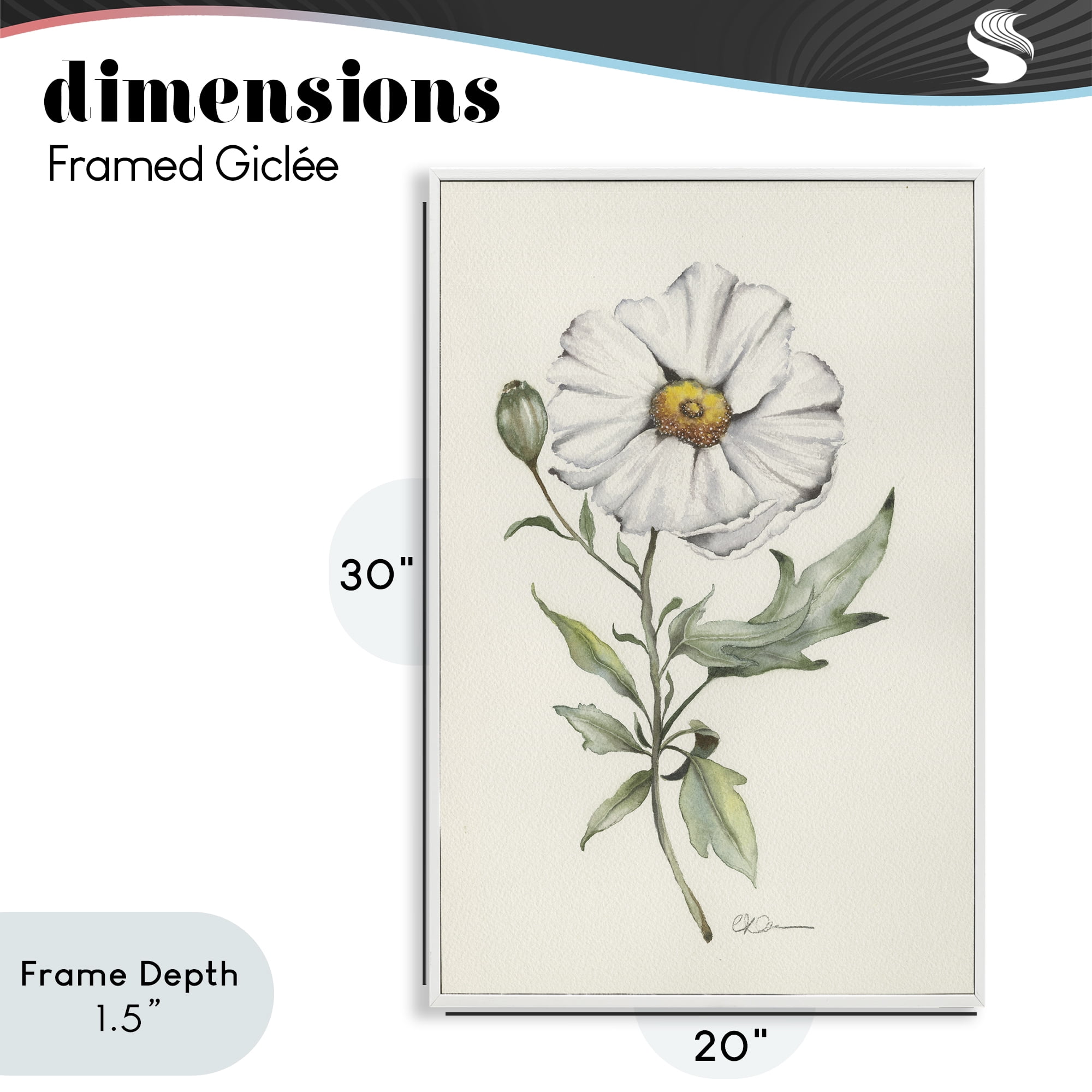 Stupell Industries Natural Wild Blossom Sprig White Framed Giclee Art, design by Cady Driver