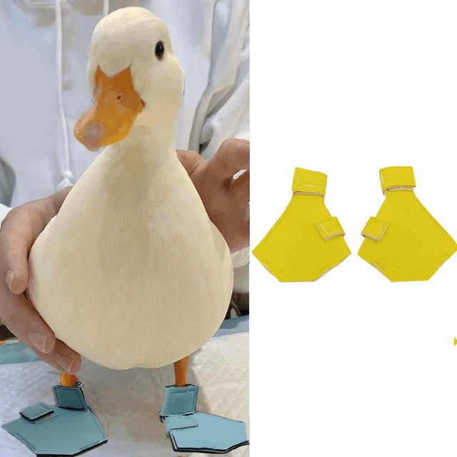 1 par de zapatos de protección para patos, transpirables, cómodos, de tela, con punta abierta, zapatos para aves de corral, zapatos de ganso para hospital, pato para mascotas, violación, garra de pato
