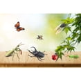 thumbnail image 1 of Modèle d'Insecte Simulation Statique Araignée Mante Papillon Moustique Jouet Cognitif pour Enfants, 1 of 4