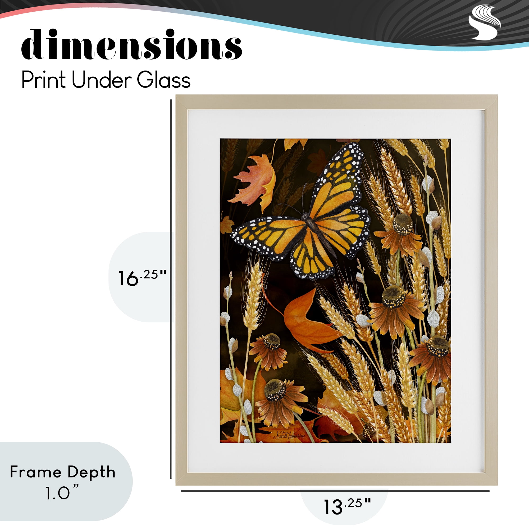 Stupell Industries Fall Motif Midnight Garden Birch Framed Print Under Glass, design by Nicole Tamarin