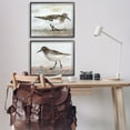 thumbnail image 3 of Stupell Industries Sandpipers on Coast Nautical Beach Animals & Insects Painting Black Framed Art Print Wall Art, 30 x 24, Set of 2, 3 of 9