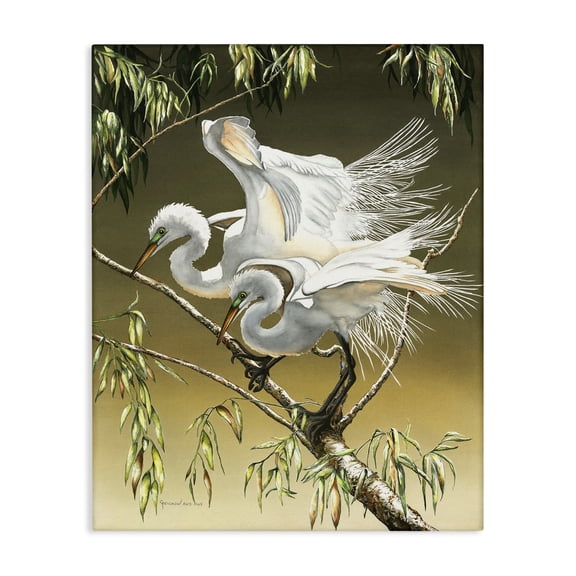 Stupell Industries Coastal Egrets Perched on Branch Canvas Art, 16 x 20, by Christine Reichow