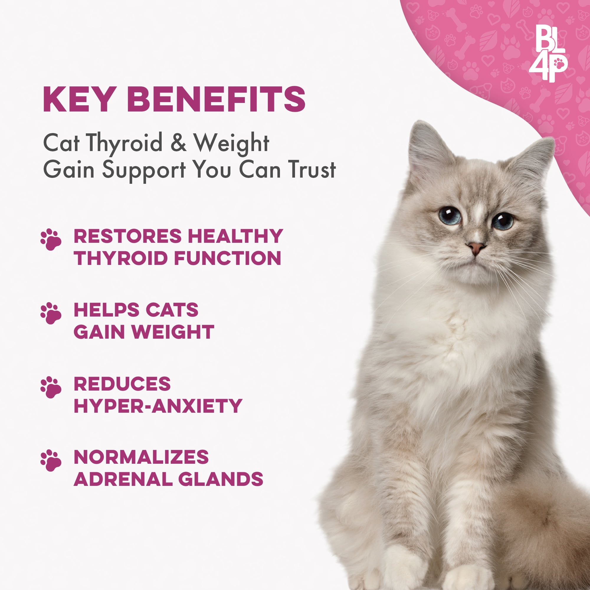 best cat food for thyroid problems