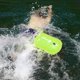 thumbnail image 4 of Flotador inflable para natación, boya de secado al aire, bolsa para deportes acuáticos (verde fluorescente), 4 of 9