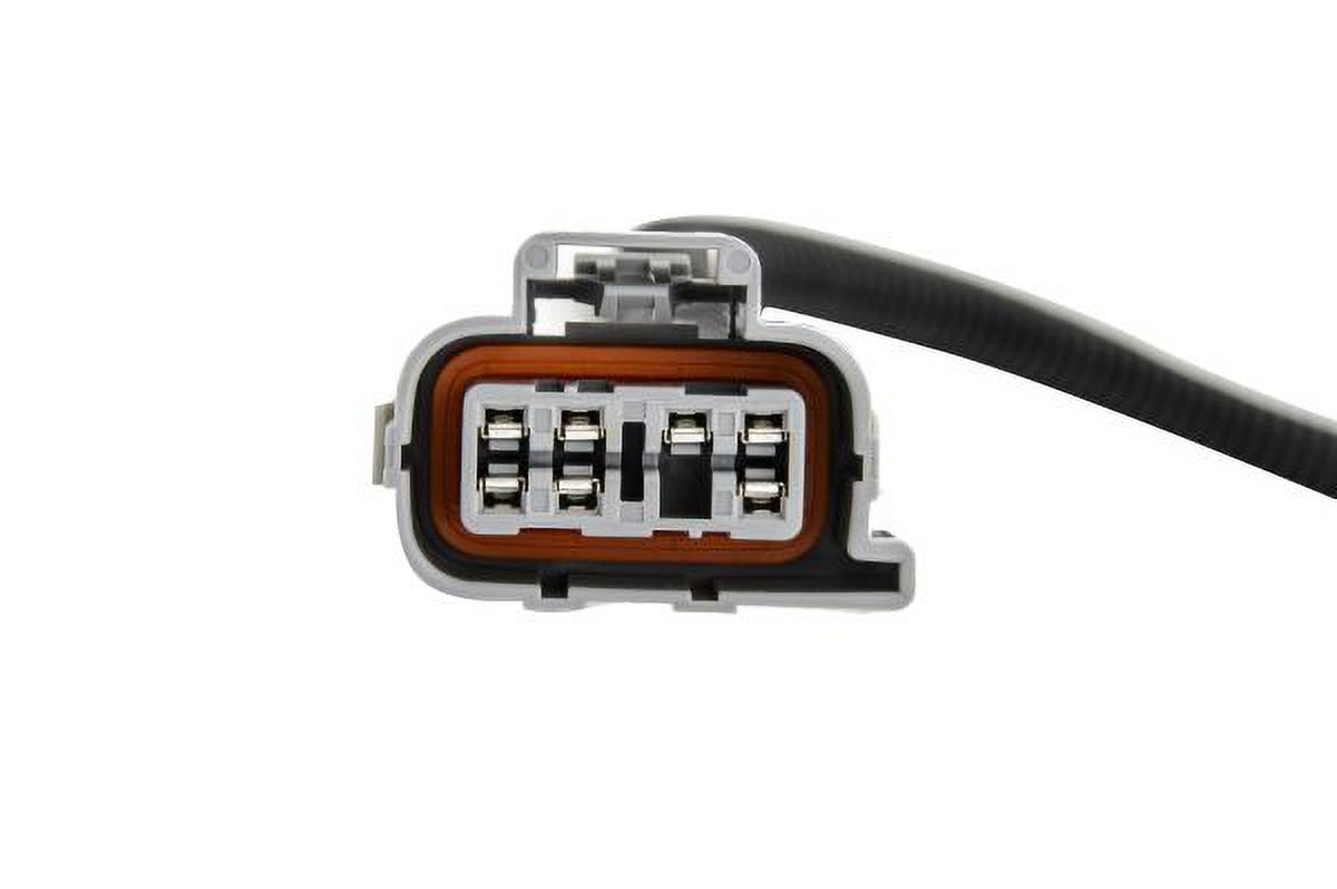Tail Light Harness