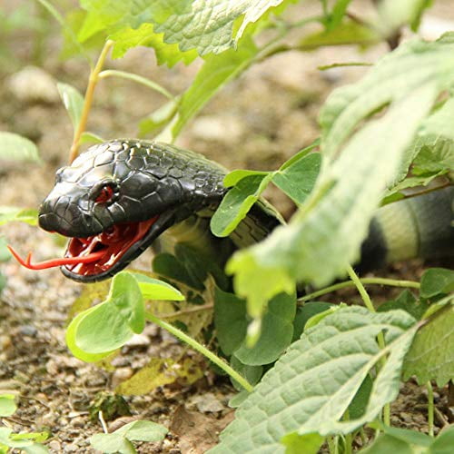 remote snake