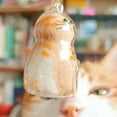 thumbnail image 6 of Cat Hair Storage Bottle Keychain,Cat Hair Keepsake Capsule Pendant, Cats Hair Storage Bottle,Cat Hair Memorial Pendant,Memorial Gifts Storage Bottle for for Collecting Pet Hair, 6 of 7