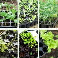 thumbnail image 5 of 10 Pack Seed Starter Trays, 120 Cells/Total, Reusable Plastic Seedling Trays with Drainage for Indoor Gardening, Greenhouse Germination Kit for Spring Planting Black, 5 of 7