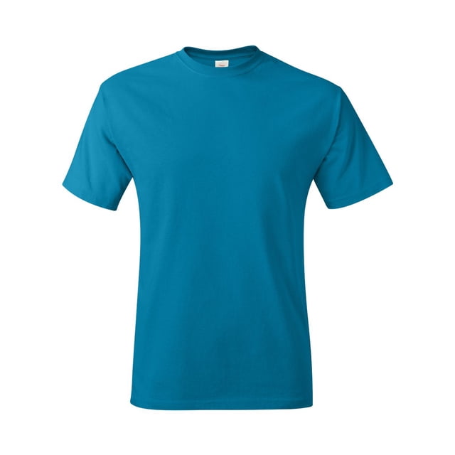 Hanes Men's Authentic-T T-Shirt
