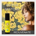 thumbnail image 3 of Silk Road Organic Aceite esencial de siempreviva roll-on 10ml | Makeup Organizers, 3 of 4