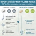 thumbnail image 4 of Igennus Methylated Multivitamin for Women 50+, Calcium & Magnesium for Bone Support, Sustained Release & Active B-Vitamins, Iron-Free Formula, Antioxidant Support, Clean Label, 60 Tablets, 4 of 13