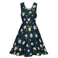 thumbnail image 3 of 2024 Dress Skate Graphic Elegant Oversized Female Summer Dresses Fashion Korean Print Floral Sleeveless Dress Daisies Blue And Yellow, 3 of 7