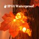 thumbnail image 2 of Cadena Luces Halloween 3M 20 LED Hoja Arce Otoño, 2 of 9