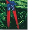 thumbnail image 3 of Pintura por números BLESIY para adultos Loros Cuadro de pintura al óleo, 3 of 6