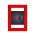 thumbnail image 1 of Zodiac Chinois Intelligent Vitalité Intelligence Image Affichage Art Cadre Photo Rouge, 1 of 4