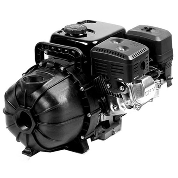 Pentair Water 1542P65SP 6.5 HP Poly Transfer Pump