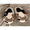 White, variant on Soft Cow Slippers for Women - Cozy Cotton Animal-Theme Home Slipper Fluffy Winter Footwear