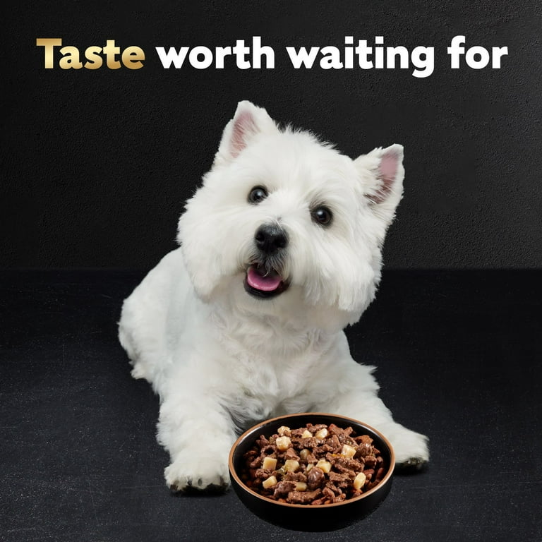 Cesar dog hot sale food 36 pack