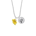 thumbnail image 2 of Delight Jewelry Silvertone Yellow Hibiscus Flower Silvertone Script Initial Disc - P - Charm Necklace, 20"+3", 2 of 4