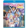 The Pet Girl Of Sakurasou: Complete Collection (Japanese) (Blu-ray) (Widescreen)