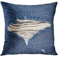thumbnail image 1 of EREHome Worn Denim Jeans Ripped Destroyed Torn Blue Patch Close Up Hole and Threads on Advertisement Blank Throw Pillowcase Cover Cushion Case Home Decor 18x18 inch, 1 of 1