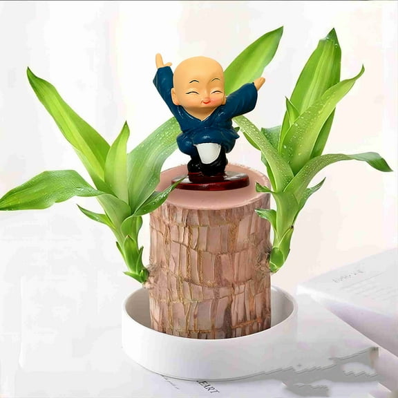 Gmogad Colorful Shaolin Monk Resin Figurines - Brazilian Wood Bonsai Decor for Home Office Car - Set of 4 Martial Arts Collectible Gift Statues