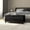 High gloss black, variant on vidaXL Storage Box Entryway Bench Pillow Box with Cushion Engineered Wood