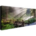 thumbnail image 2 of Trademark Fine Art "Forest Sunlight" Canvas Art by Pierre Leclerc, 2 of 3