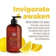 thumbnail image 3 of Soapbox Liquid Hand Soap, Meyer Lemon & Tea Leaves Scent - Gentle, 12oz Pump Bottles (Pack of 3), 3 of 9