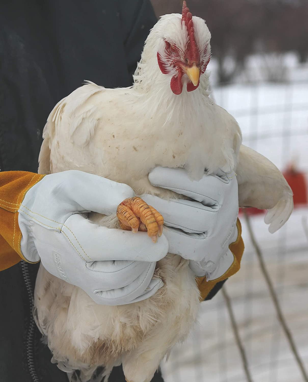 Animal Handling Work Gloves - For Falconry, Dog, Hawk, Cat, Bird and Raptor Handling - Anti Scratch Leather and Kevlar (XS)