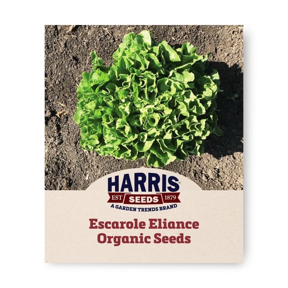 Harris Seeds Escarole Eliance Organic Seeds, Dark Green Smooth Leaves, 50 Count