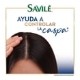 thumbnail image 4 of Shampoo Savilé control caspa menta y eucalipto 1000 ml, 4 of 4