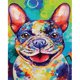 thumbnail image 1 of Diamond Painting (DE6713) 5D Kit Rhinestone DIY Colorful Dog Square Craft 40x50cm FLhrweasw Nuevo, 1 of 1