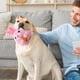 thumbnail image 4 of Active Moving Pet Plush Toy, Interactive Dog Toy, Talking Movable Dog Toy, Electronic Dog Toy, Bounce Boredom Toy For Cats And Dogs, 4 of 5