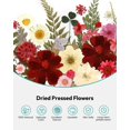 thumbnail image 4 of Kit de flores secas Resiners Cherry 174 piezas para manualidades, 4 of 9