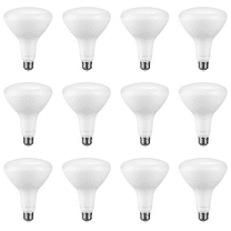 12 Pack BR40 LED Light Bulbs, 17W=100W, 1400lm, Dimmable, E26 Base, Indoor Flood Light for Cans, Recessed Kit, 5000K Daylight