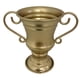 thumbnail image 1 of Maceta de hierro creativa con forma de trofeo retro, contenedor decorativo de metal para plantas. Oro, 1 of 8