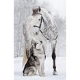 thumbnail image 1 of Cuadros Decorativos 5D bricolaje completo taladro diamante pintura caballo lobo punto de cruz bordado mosaico Kit DQrwqpou Nuevos Originales, 1 of 8