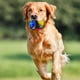 thumbnail image 4 of Bola Sumind para perro, con luz LED intermitente, para perro, 4 unidades, 4 of 6