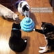 thumbnail image 4 of Juguete para gatos con plataforma giratoria y seis bolas de colores, interactivo, divertido, psicológico, para gatitos, color azul, 4 of 5