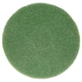 thumbnail image 1 of Almohadilla limpiadora BISSELL BigGreen Commercial 437.056BG para BGEM9000, 1 of 1