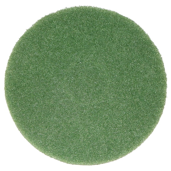 Almohadilla limpiadora BISSELL BigGreen Commercial 437.056BG para BGEM9000