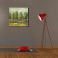 thumbnail image 6 of Epic Graffiti 'Forest I' by Silvia Vassileva, Canvas Wall Art, 26"x26", 6 of 8