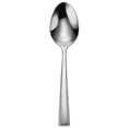 thumbnail image 1 of Cuillère de Service en Acier Inoxydable Cabria Argent, 1 of 1