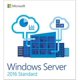 Microsoft Windows Server 2016 Standard - Licence - 16 Cœurs - OEM - DVD - 64 Bits - Français – image 1 sur 1