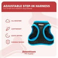 thumbnail image 4 of Downtown Pet Supply Step In Dog Harness No Pull, X-Large, Black w/ Cobalt Blue Trim, 4 of 8