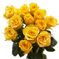 thumbnail image 3 of One Dozen Yellow Roses- Fresh Flower Delivery, 3 of 5