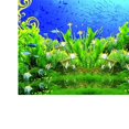thumbnail image 3 of Fondo del Acuario Sunnimix Poster Fish Tank Wall Background Picture Multicolor L, 3 of 8