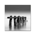 thumbnail image 2 of Trademark Fine Art "Weathered" Canvas Art by Dave MacVicar, 2 of 4